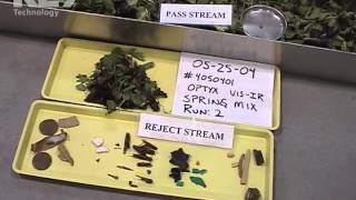 Fresh-Cut Spring Mix Processing on Optyx® 3000 Vis/IR Optical Sorter