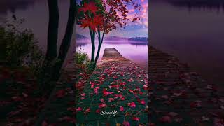 Ölürüm O Zaman Yaşayamam Müslüm Gürses