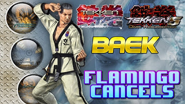Tekken Tag/Tekken 5 - Baek Flamingo cancels