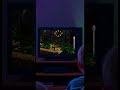 Donkey Kong Country 2 - Forest Interlude #donkeykong #diddykong #snes #nintendo #gaming #games