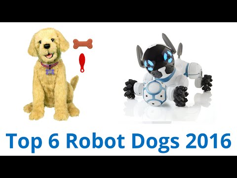 yeezy wireless robot puppy