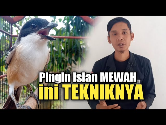 Teknik isian materi CENDET yang tepat supaya isian mewah class=