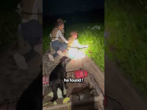 This Child Made a Shocking Discovery #shorts #viral #family #wildlife
