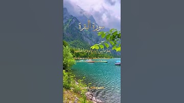 آية الكرسي ياسر الدوسري سورة البقرة #ياسر_الدوسري