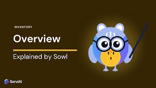 Full Overview | Inventory | SorviAI Guide
