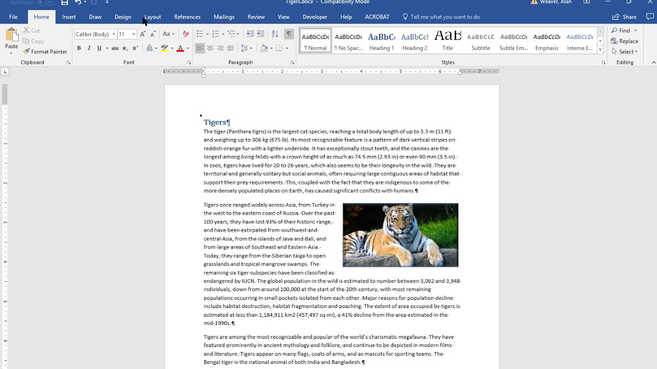 Word 2016 Headers And Footers YouTube