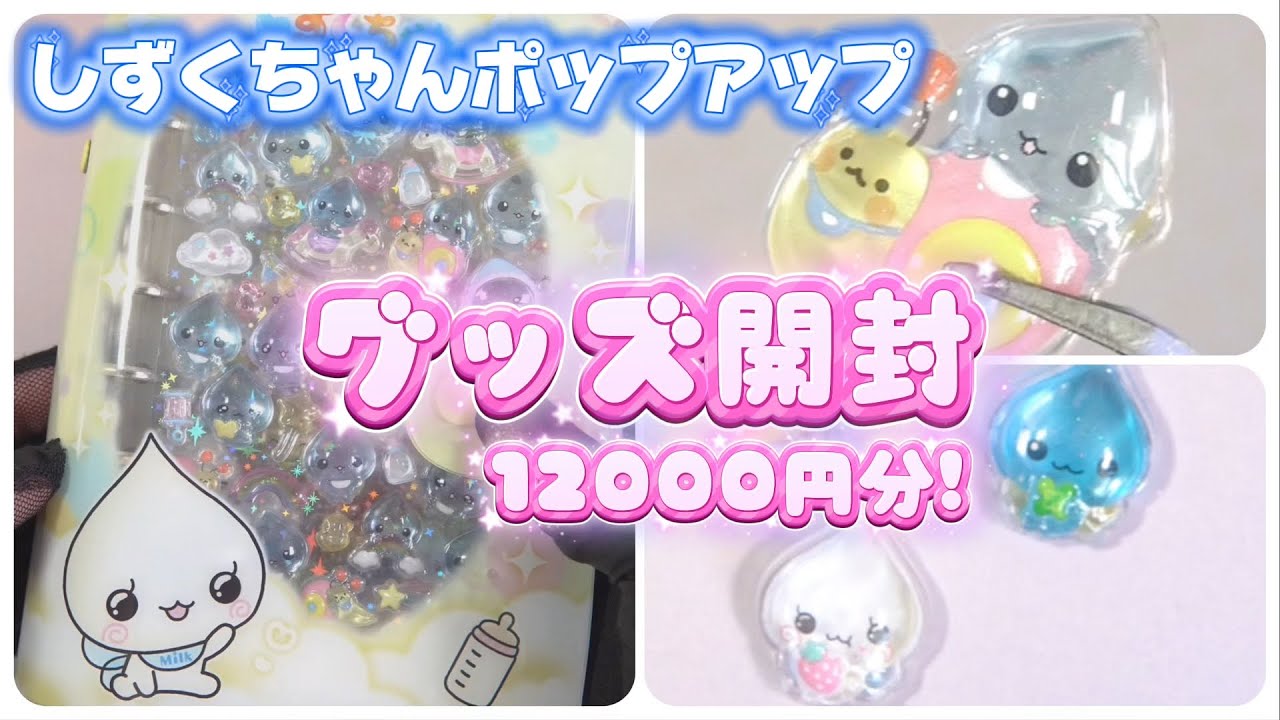 12,000 yen worth of items! Here's what I bought at Shizuku-chan's