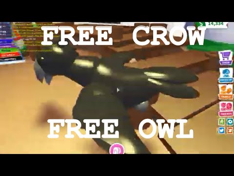 Omg I Got Every New Farm Pet In Adopt Me Legendary Crow And Owl Roblox Adopt Me New Egg Update Youtube - how to get a free legendary owl pet in adopt me roblox adopt me new farm egg update youtube owl pet roblox farm eggs