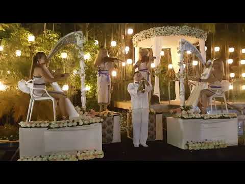 כינורות 2 נבלים 2 וסקסופון הרכבים מוסיקליים Kredo Show הפקות אירועים בינלאומיים קראדו 