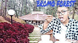 Traveling And Food In BROMO FOREST