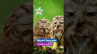 Mozart Serenade ❤ Classical Lullaby #lullaby #lullabysong #classicalmusic