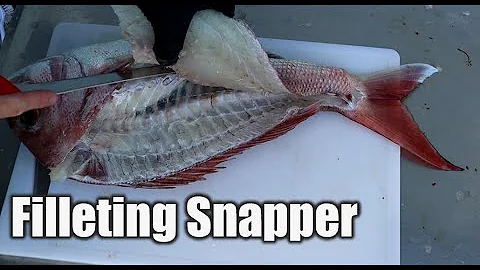 Filleting a New Zealand Snapper
