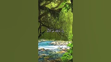 واتس اب قران كريم القارئ ياسر دوسري (سوره الكوثر)