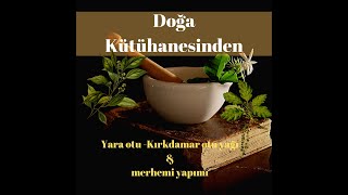 Yara,Çıban, Yara Otu Kullanımı, Yara Otu Yağı Yapımı, Doğal Şifa. Kırkdamar Otu. Sinirli Ot.