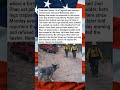 STRAY DOG LEADS FIREFIGHTERS TO TRAPPED HIKER 🐕🏔️🔥