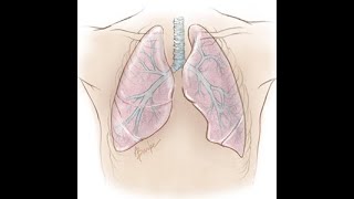 The Language of Medicine Ch12 Respiratory System P2