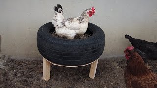 Making Chicken Nest From Old Car Tire - How To Make Chicken Nest?