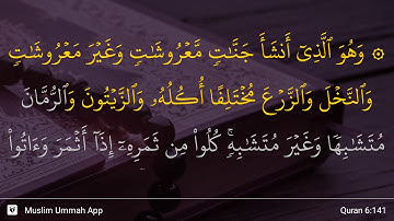 سوره انعام، آیه ۱۴۱