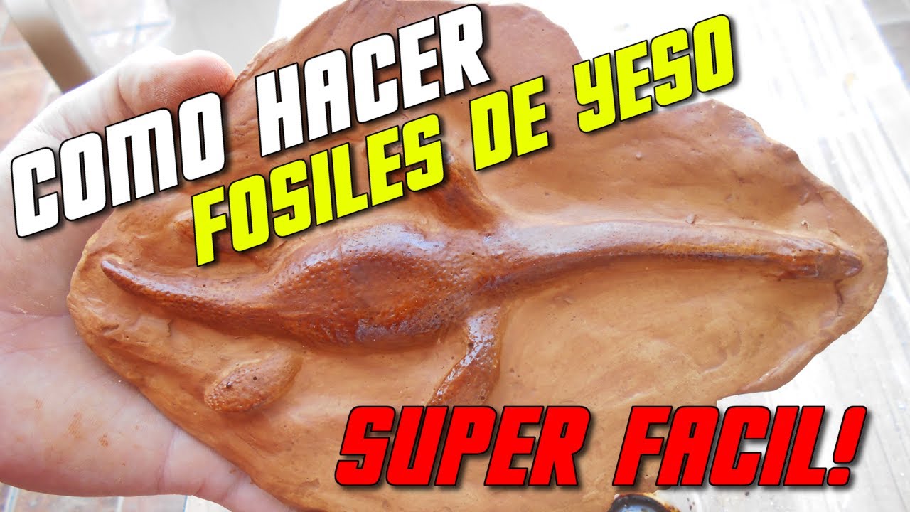 Como hacer fósiles con yeso. Paso x paso - YouTube