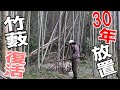 (4)30年以上放置していた竹藪の奥に迫る