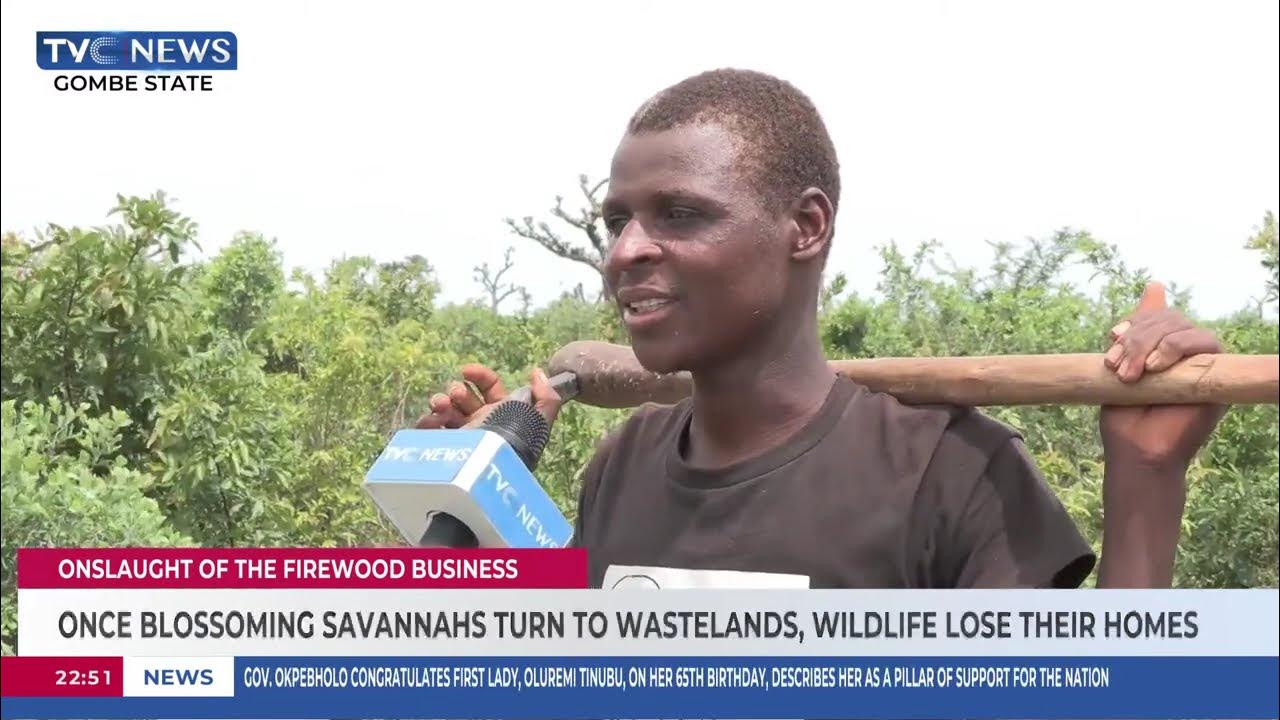 Low-Income Northern Nigeria: Living In Battle Between Sustainability, Survival