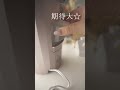 皆に相談して高い買い物してみたze☆機能多くて使いこなす自信ない。【開封生活音ASMR】