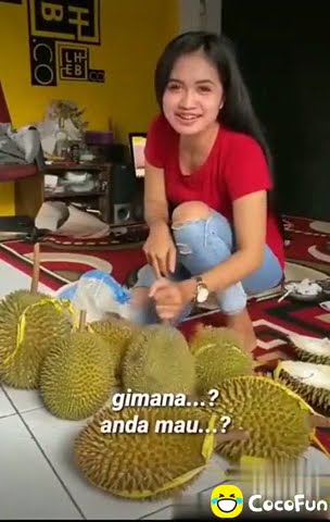 Cewe cantik jual durian