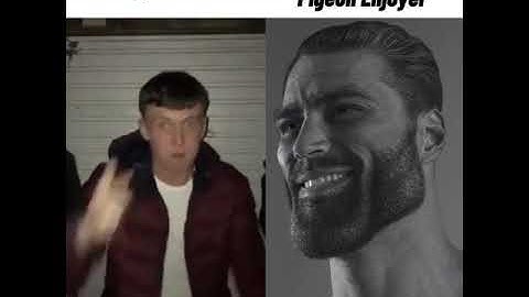 Average fan vs Average enjoyer meme #shorts