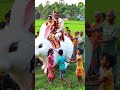 Bangladeshi Village Wedding On A Giant Rabbit 4K Ultra Realistic Weddingshorts 