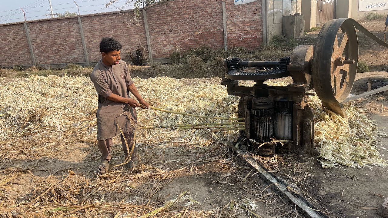 Jaggery making point in village area || natural sugar making process 