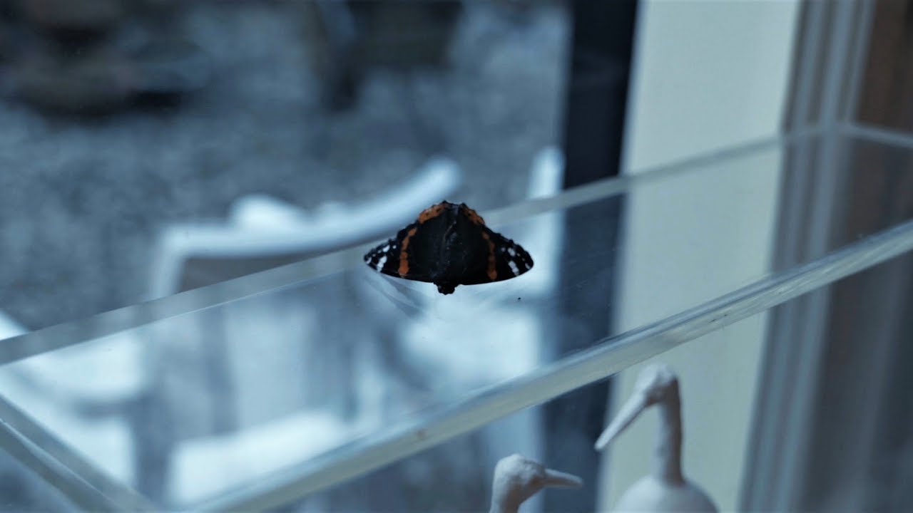 Cinematography. by summer 2018