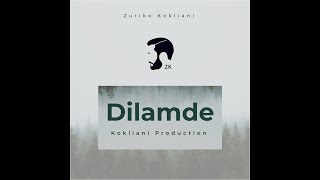 Zuriko Kokliani - Dilamde