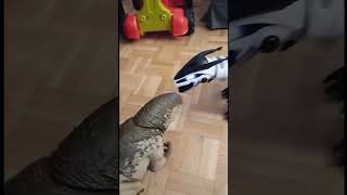 T rex vs d rex part 4 final