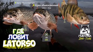 Русская рыбалка 4.🎣🦈 оз. Старый Острог 🐬🐬🐠💦 ГДЕ ЛОВИТ LATORSO 👀