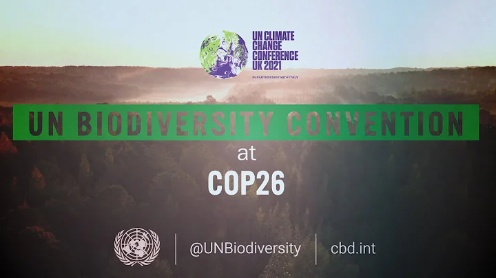 UN Biodiversity Conference at #COP26: Interview wi...
