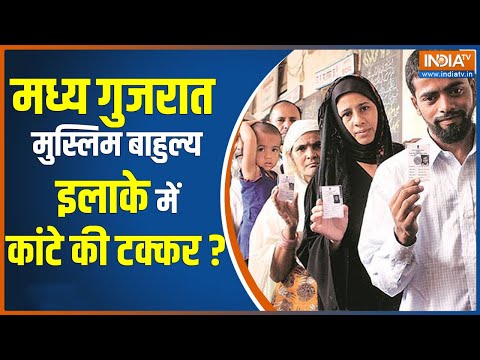 Gujarat Election: मध्य गुजरात मुस्लिम बाहुल्य इलाके में कांटे की टक्कर? क्या मुस्लिम वोटर्स बंट गए? - INDIATV