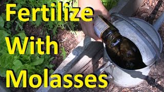 How to Fertilize Your Garden With Molasses