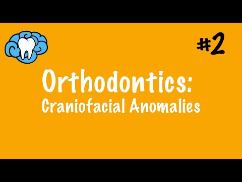 Orthodontics | Craniofacial Anomalies | NBDE Part II