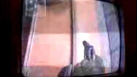 COD6 GLITCH MESS AROUND **MUST SEE** rate and subscribe