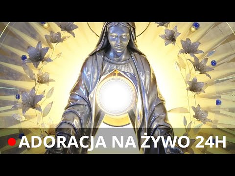 Profile Image for EWTN Polska