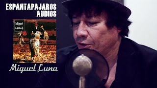 Espantapájaros / Miguel Luna / 01 La Melancolia