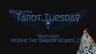 Tarot Tuesday: Hershe the Shadow Reader CS 📱