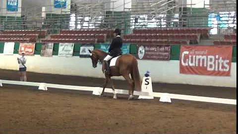 Jennifer Fulmer - Raleigh Summer Dressage 2015