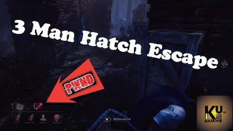 3 Person Hatch Escape in Front of Killer! (PS4/DBD)