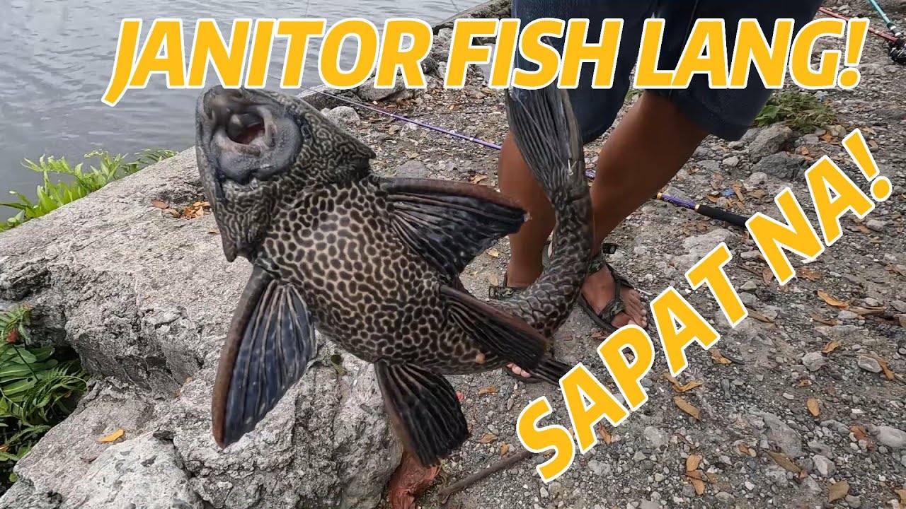 MAKA JANITOR FISH LANG SAPAT NA PARA MAG ENJOY FISHING YouTube maka-janitor-fish-lang-sapat-na-para-mag-enjoy-fishing-youtube