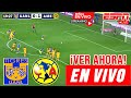 Tigres vs. América en vivo🔴🔴 Ver Hoy Tigres vs. América Femenil Semifinal Vuelta Liga MX resumen