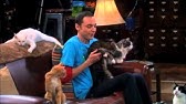 Doux Chaton Adorable Chaton En Francais Youtube