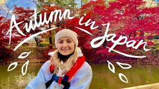Autumn in Aomori, Japan | Fall Festivals, Boat Rides, and More!