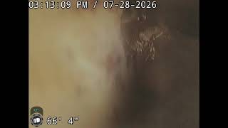 VID 20260728 150419 1