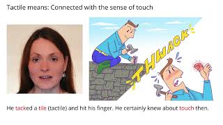 Remember Meaning Of Tactile Using Pictures and Mnemonics
